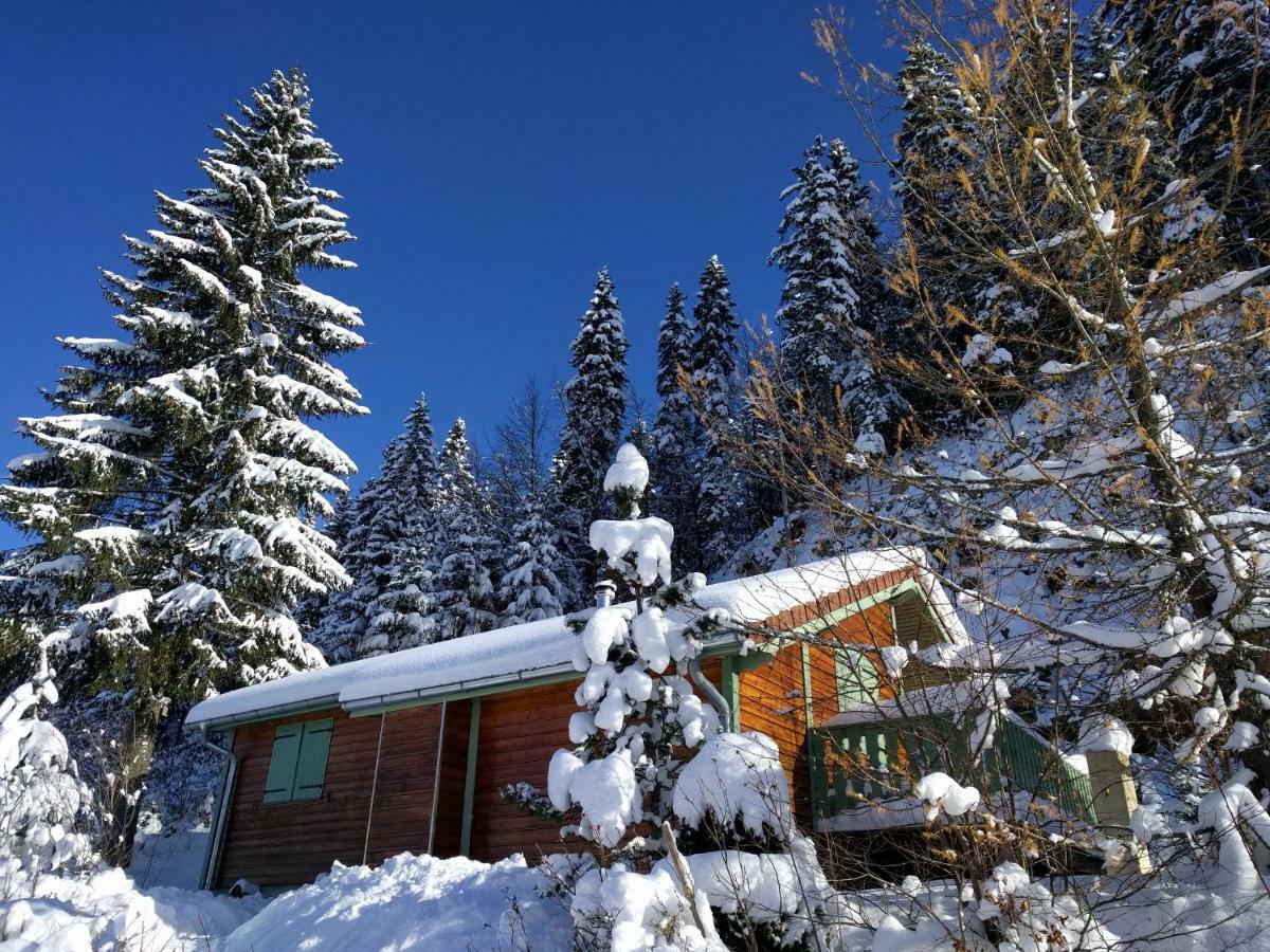 Chalet Daria Prémanon Extérieur photo
